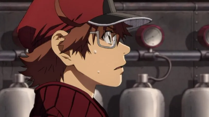 《工作细胞全集:三季35集含中配版与BLACK版》