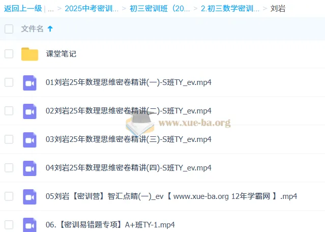 刘岩 2025 初三数学中考数学密训班