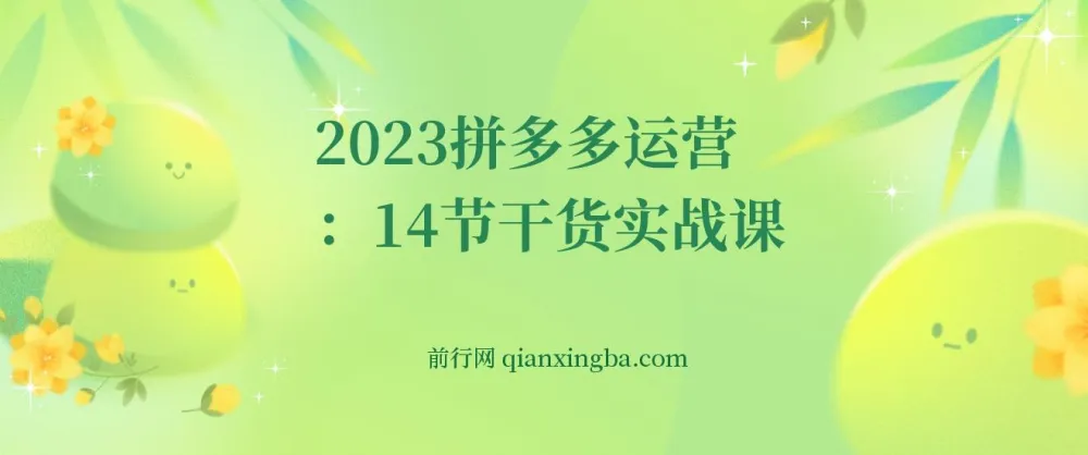 拼多多运营干货实战14节课程