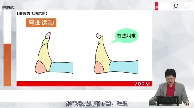 代代木动画学院零基础角色绘画课程:初学者速成指南