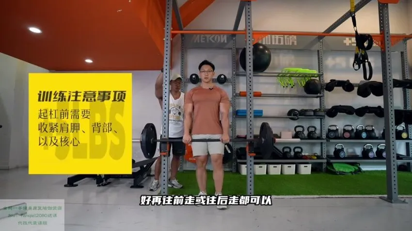 小萝卜四分化增肌训练高阶教程：科学规划高效增肌