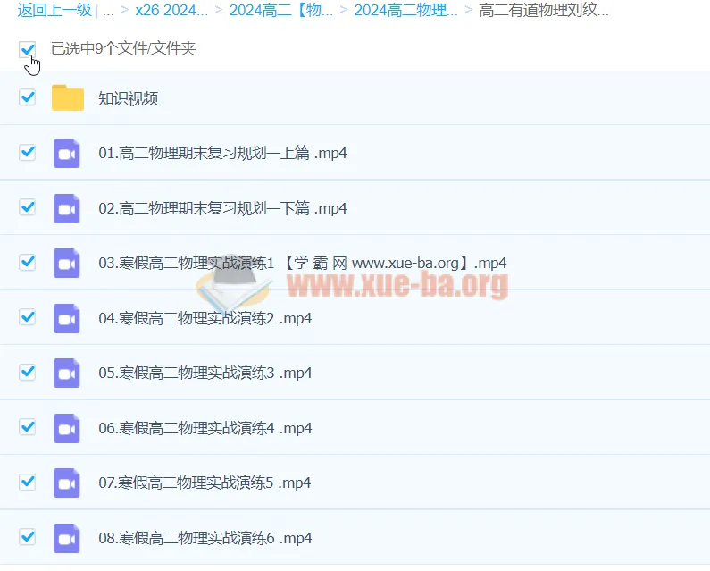 2024高二物理刘纹岩寒假班(下学期)