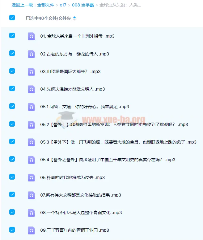 《全球史从头说:人类文明的共同起点》28讲完结