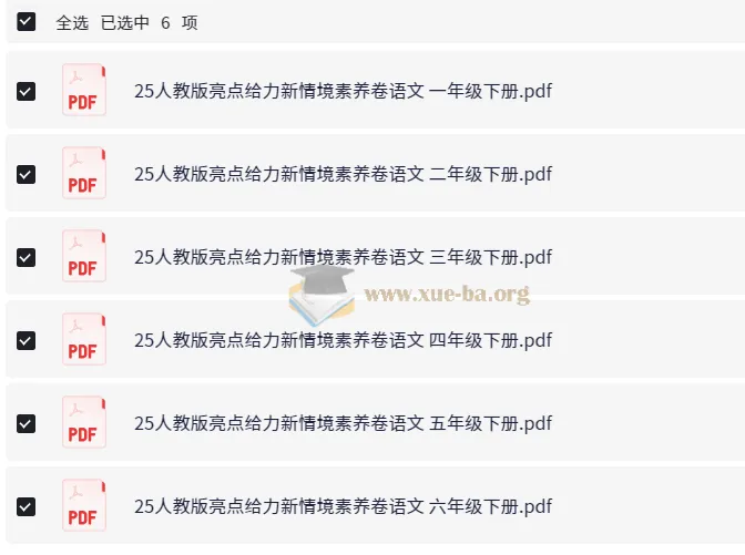 2025人教版小学语文亮点给力新情境素养卷