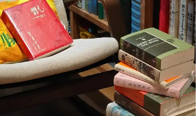 《各小说网站VIP排名100小说》网文合集