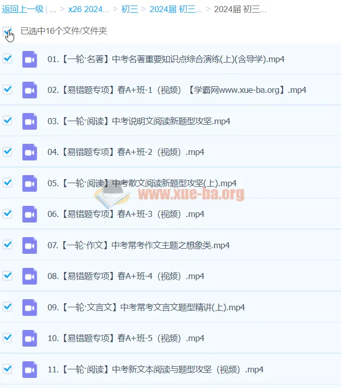 2024初三中考语文何铮铮寒假班（春上）