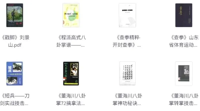 中华武术经典著作合集：领略传统武术魅力