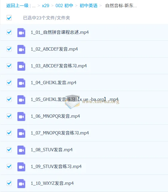 新东方小学英语自然音标：音标拼读VIP通关班