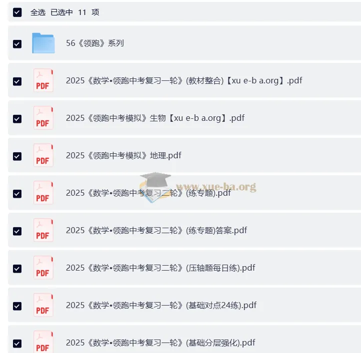 2025版《领跑》初中数学中考复习一二轮资料