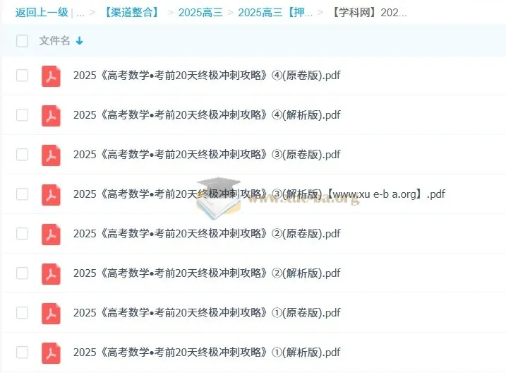 学科网2025高考数学考前20天终极冲刺攻略1-4辑