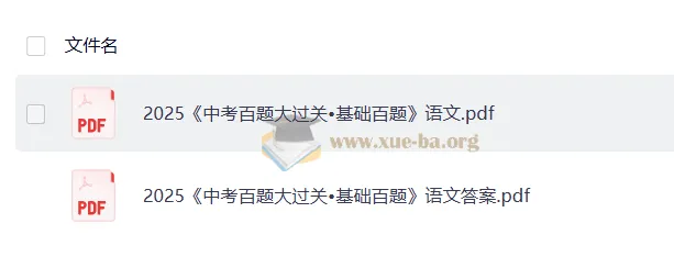 2025年《中考语文·百题大过关》（基础百题）