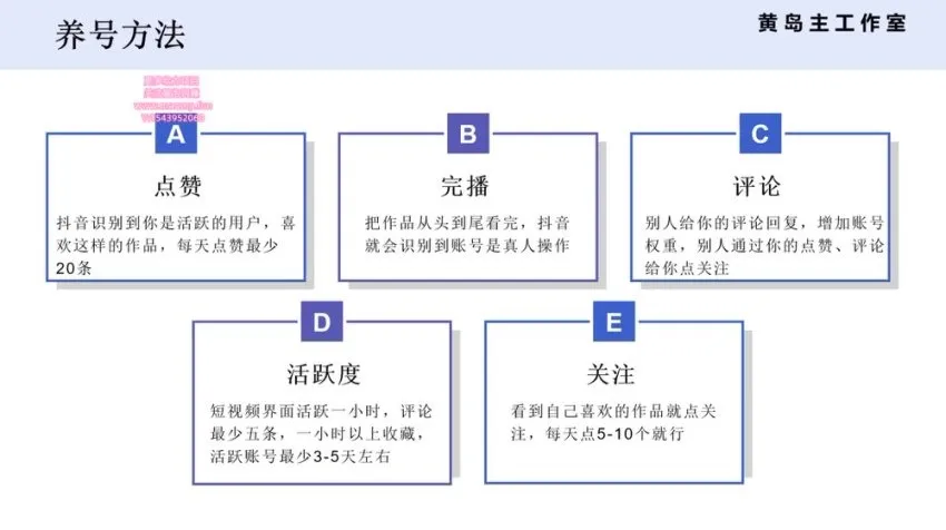抖音王者荣耀游戏变现副业兼职:一条龙实操课程