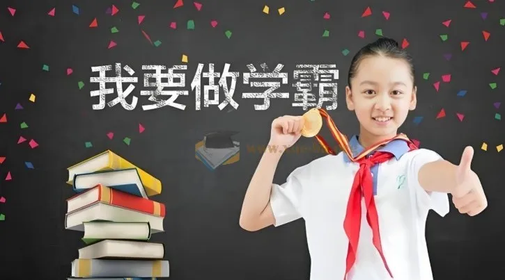 2024春小学学霸专题系列资料包