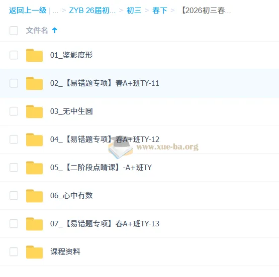 2026初三中考数学：数理思维自主学习·TY·A+（徐丝雨）