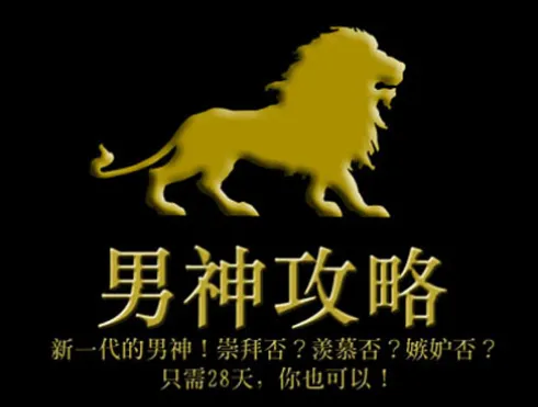 《男神攻略：只需28天，你也可以》（帕特里克·金 著）