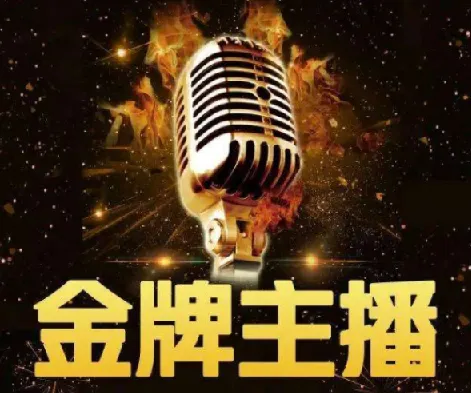 2025进阶金牌主播：摸清算法逻辑课程