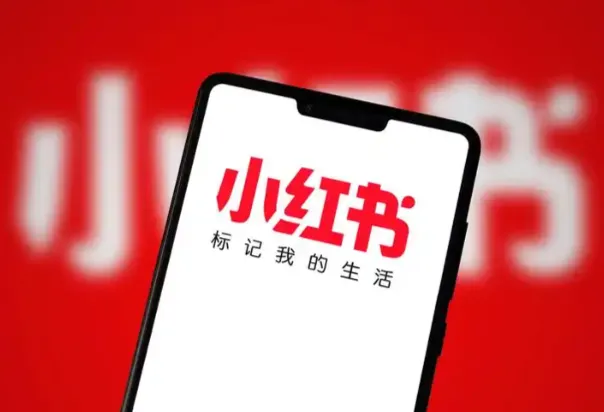 小红书爆火的《100部名著精读笔记》绘本