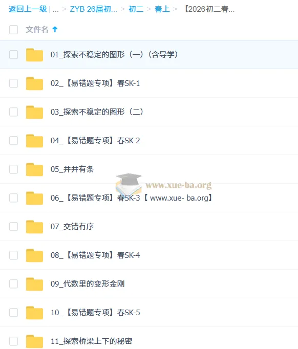 2026初二春上王丁玉数理思维自主学习·SK（三期）初中数学课程