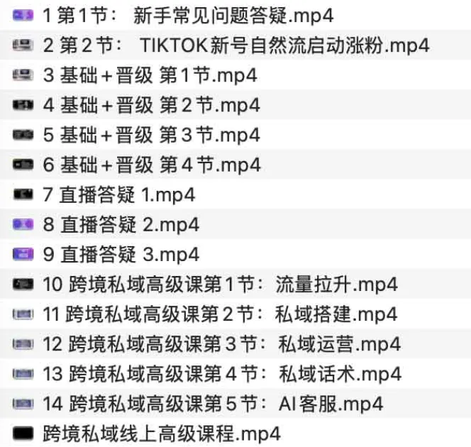 跨境私域极速成交线上高级课程：全面掌握私域运营与成交逻辑