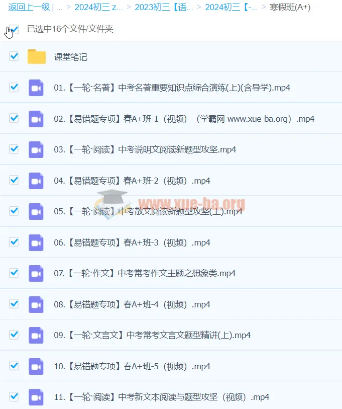 杨荷2024初三中考语文A+寒假班(春上)课程
