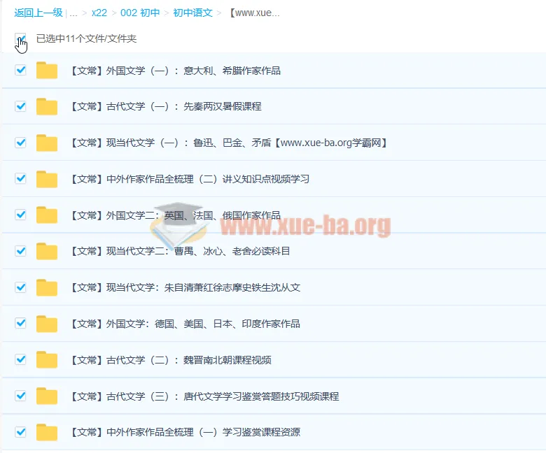 达吾力江文学常识专题课11讲(附讲义)