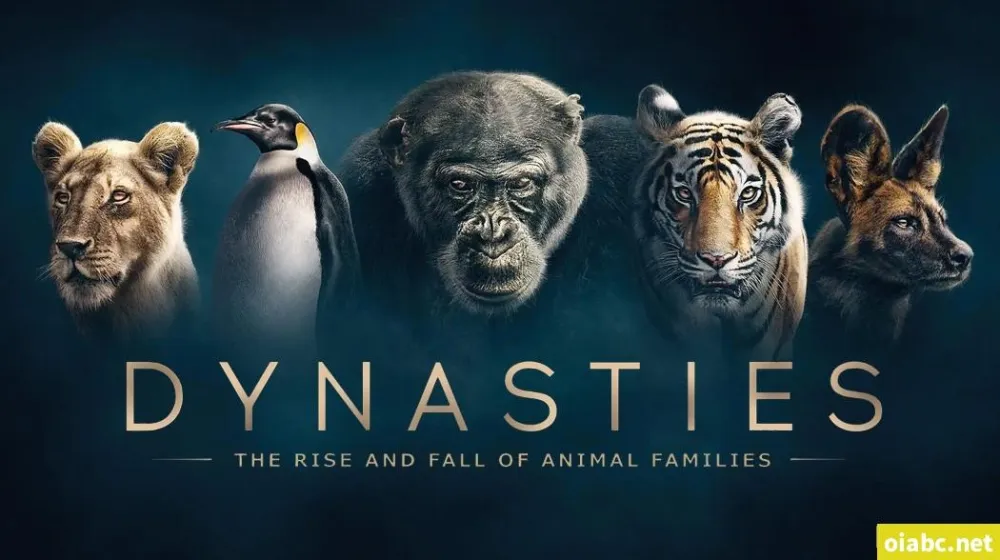 BBC纪录片《王朝 Dynasties》英文版全5集（2018）中英双字