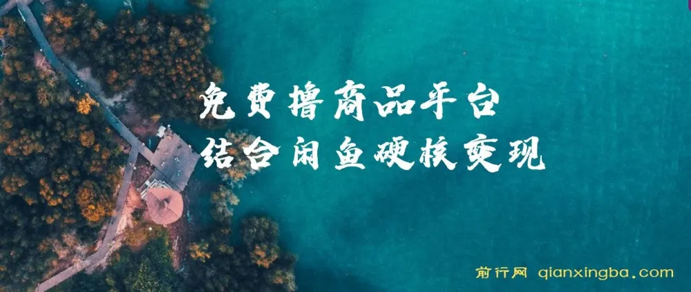 免费撸商品平台与闲鱼双平台硬核变现课程,小白轻松上手
