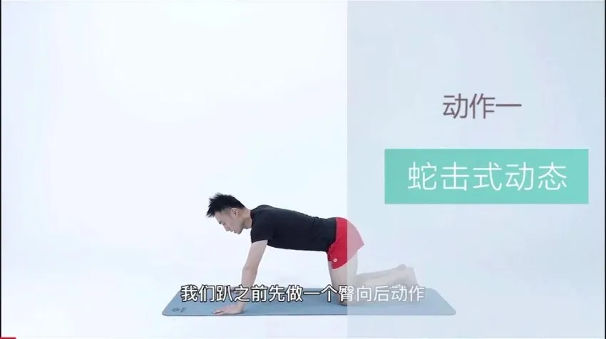 21天明星同款减脂塑形训练:精准训练,打造天鹅臂与小蛮腰