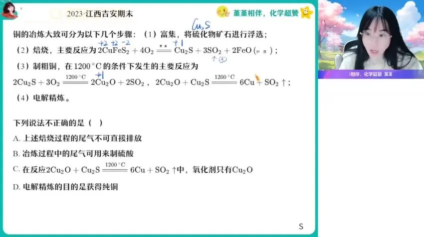 2024高一化学尖端班·王瑾春季系统课(硫氮化合物/反应原理/有机化学)