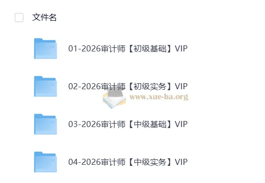 2026初中级审计师备考全攻略:双名师精讲+历年真题解析
