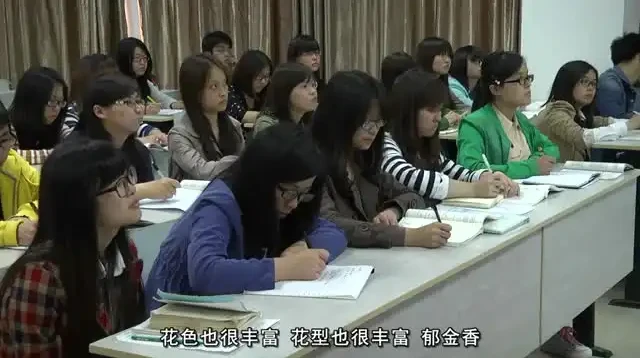 花艺插花教程:从入门到精通