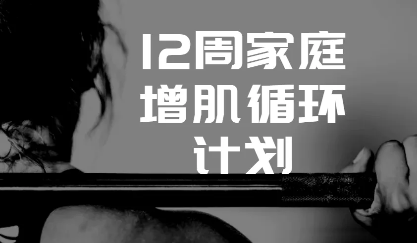 卓叔增重：12周家庭增肌循环计划【完结视频课程】