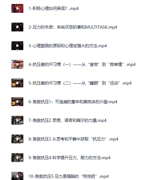 玩转压力：心理灵松明积极情绪养成与压力管理课