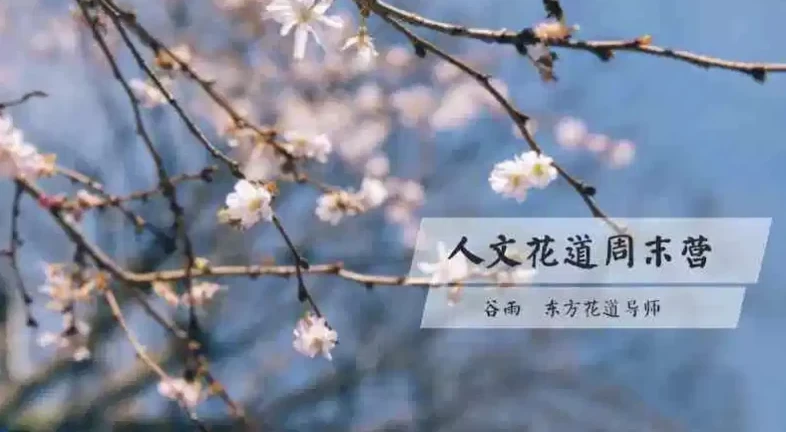人文花道美学营：跟随谷雨老师，在插花中寻回内心的宁静