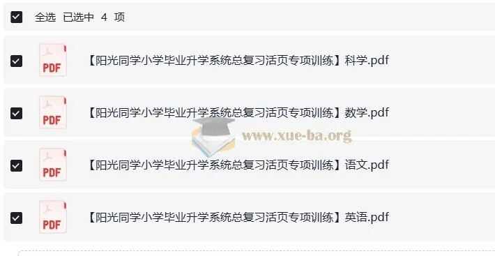 阳光同学小升初总复习活页专项训练（语文数学英语科学四科合辑）