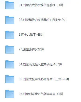 刘莹太极拳视频课程合集：从入门到精深的完整修炼体系