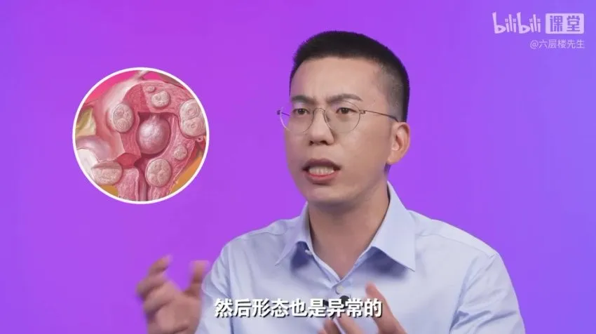 女性健康通识课:六层楼先生带你系统掌握生理与心理知识