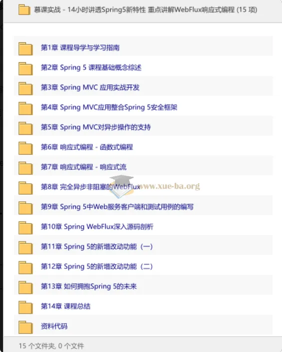 Spring5新特性深度解析：14小时实战WebFlux响应式编程