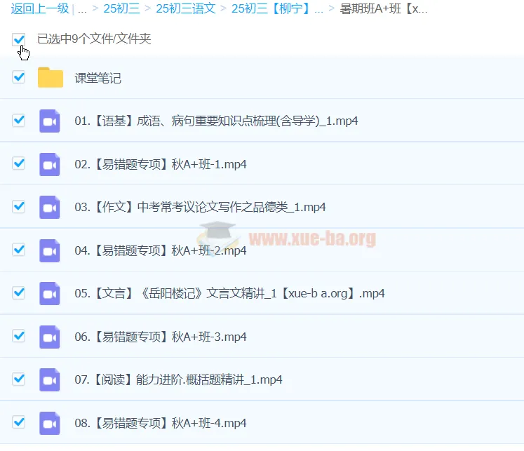 2025初三中考语文 柳宁语文暑假班A+班课程