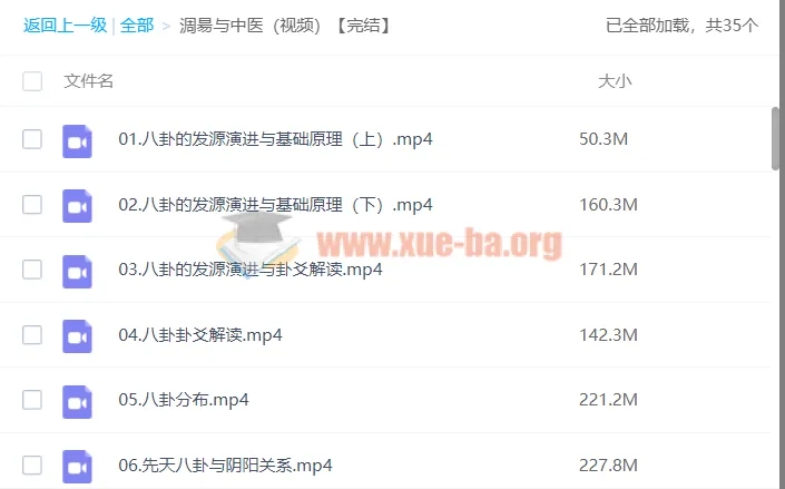 潘毅《周易与中医》视频课程全集