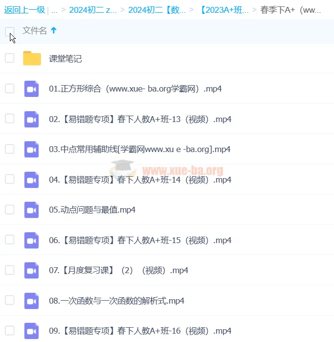 李爽数学2024初二数学A+春季班下 系统课程资料