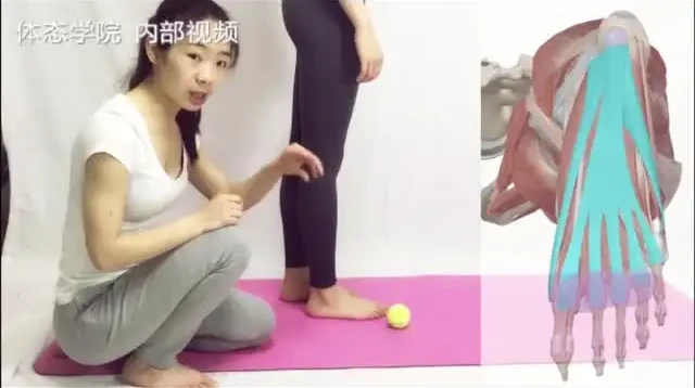 四阶段高级体态训练：定制课程全面改善体态
