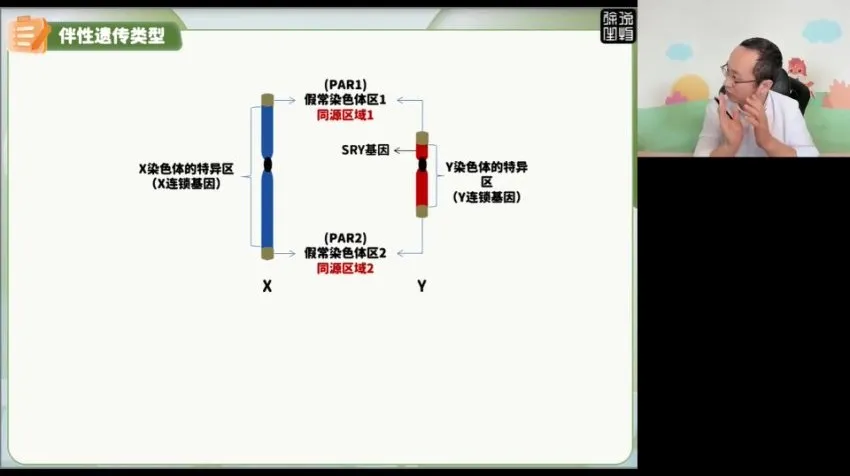 2024高三生物押题班·徐京精讲：核心考点与高考冲刺全攻略