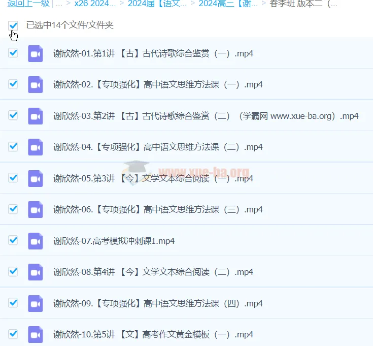 2024高三高考语文 谢欣然二轮精讲春季班 系统复习课程
