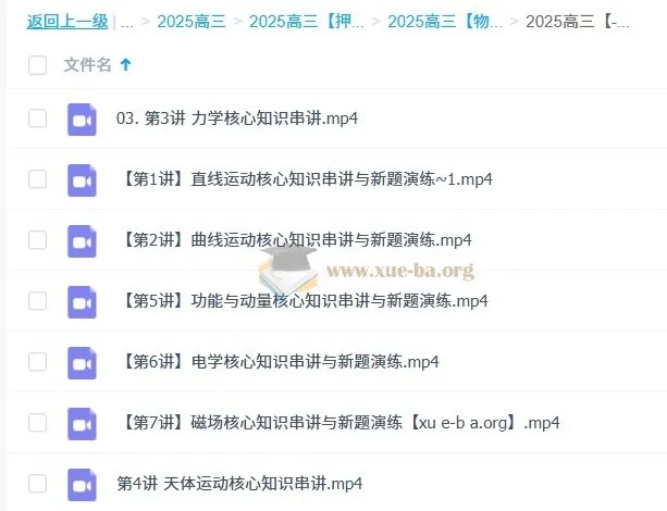 于冲2025高三高考物理押题课:核心知识串讲与新题演练