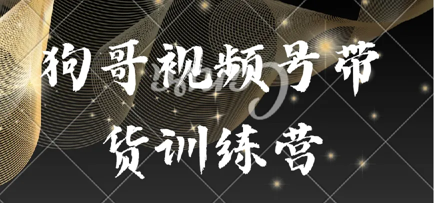 狗哥视频号带货训练营：从选品到实操的系统课程