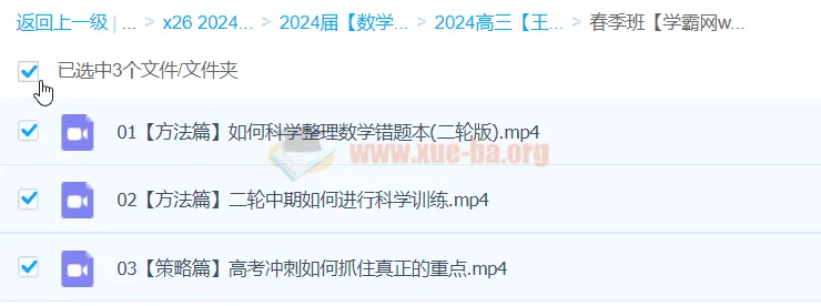 2024高三高考数学 王伟数学二轮精讲春季班
