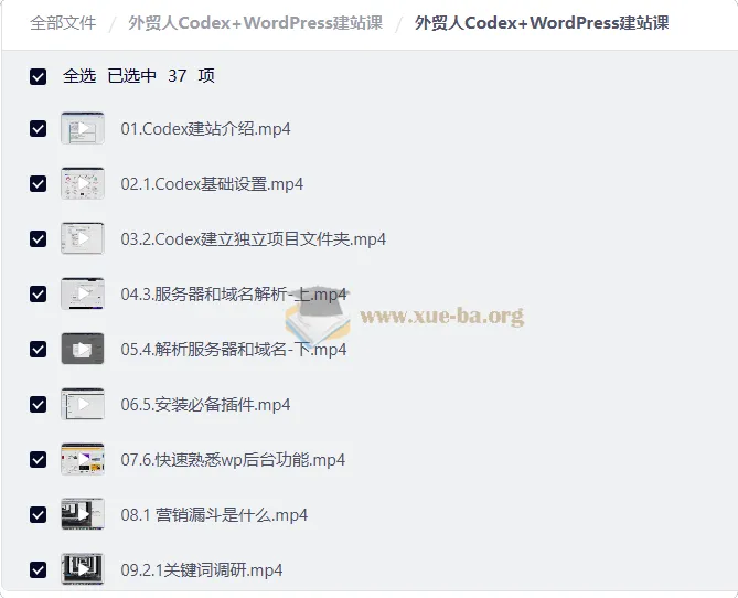 外贸人Codex+WordPress独立站建站与SEO实战课