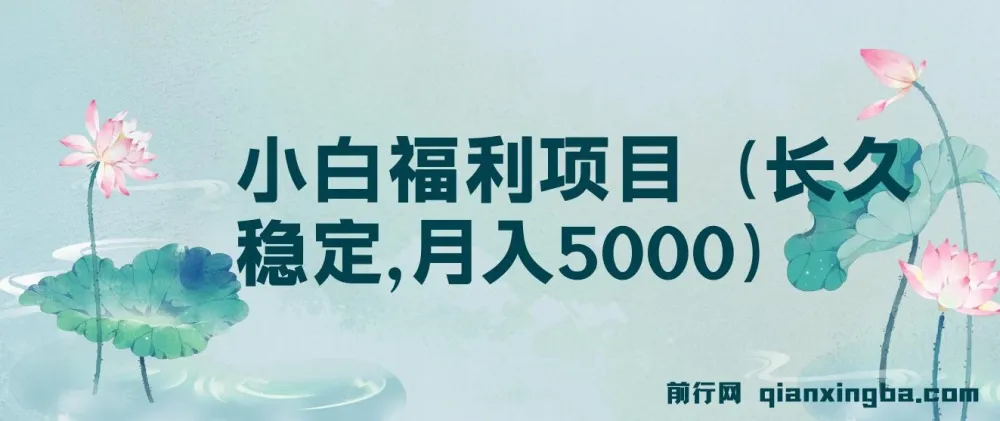 搏金汇第26课：小白福利项目，长久稳定月入5000实操指南