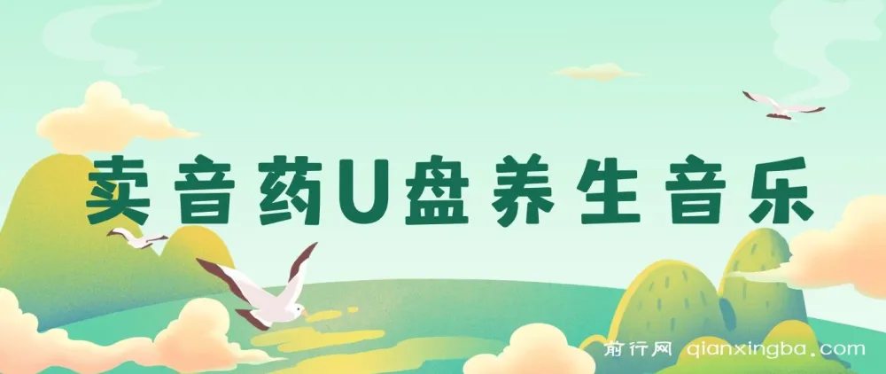 健康养生细分赛道，音药U盘养生音乐项目，零基础可批量操作月入过万